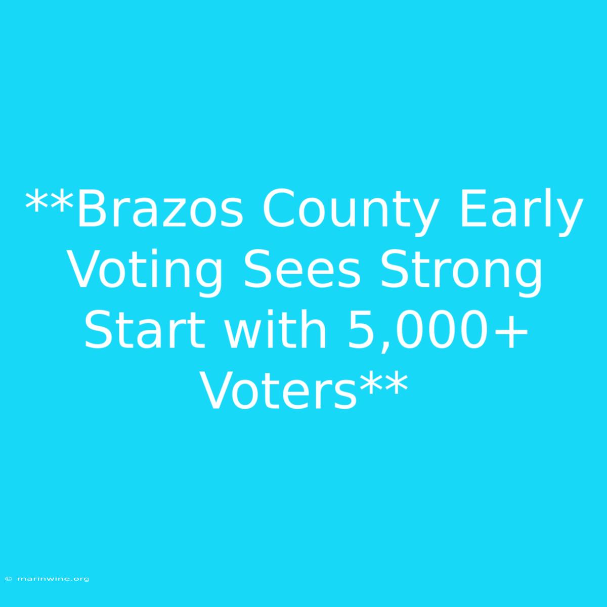 **Brazos County Early Voting Sees Strong Start With 5,000+ Voters**