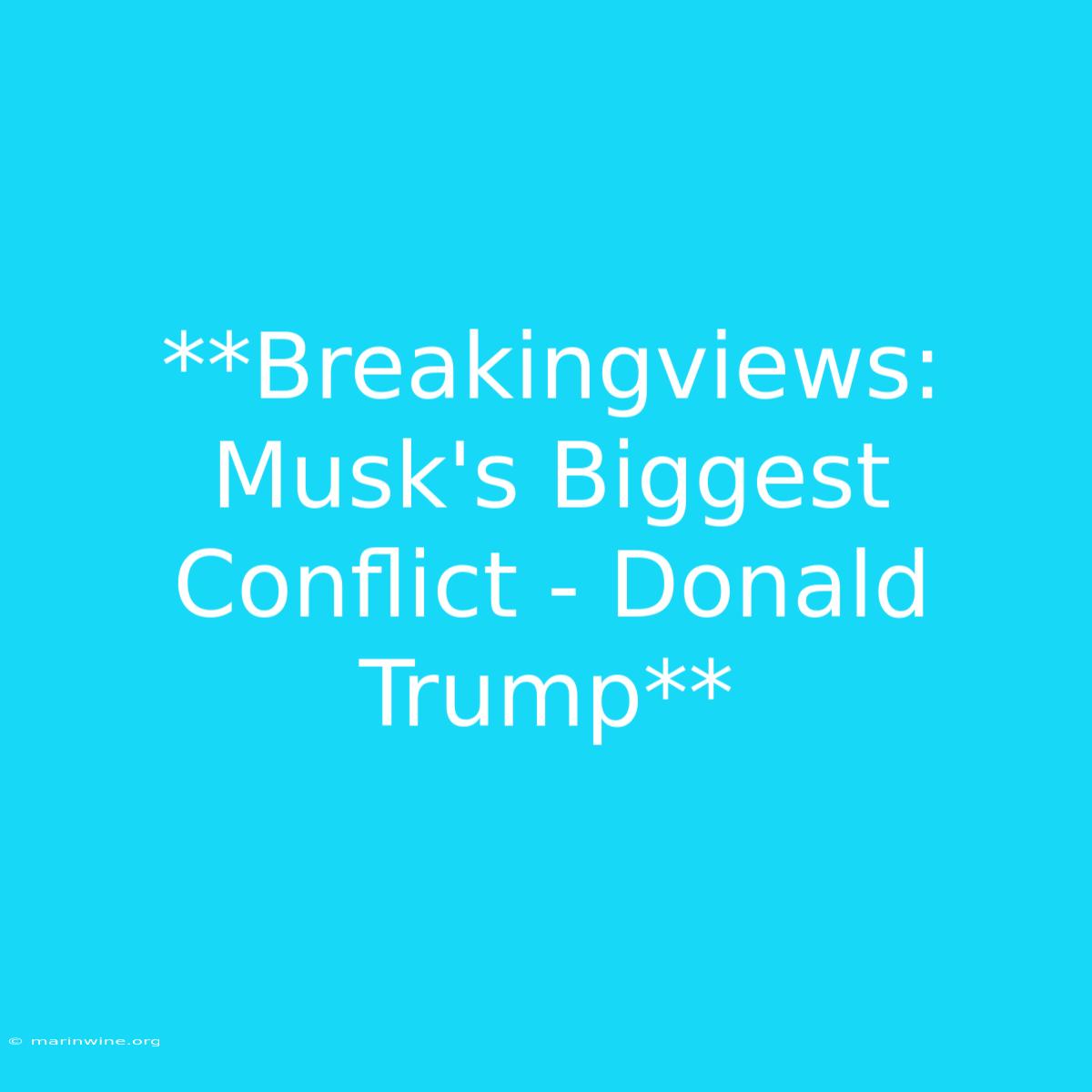 **Breakingviews: Musk's Biggest Conflict - Donald Trump**