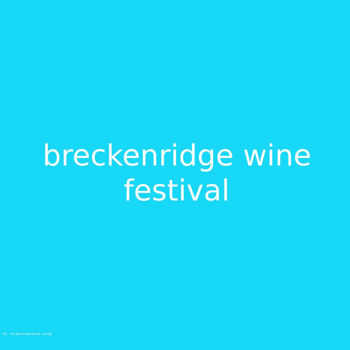 Breckenridge Wine Festival