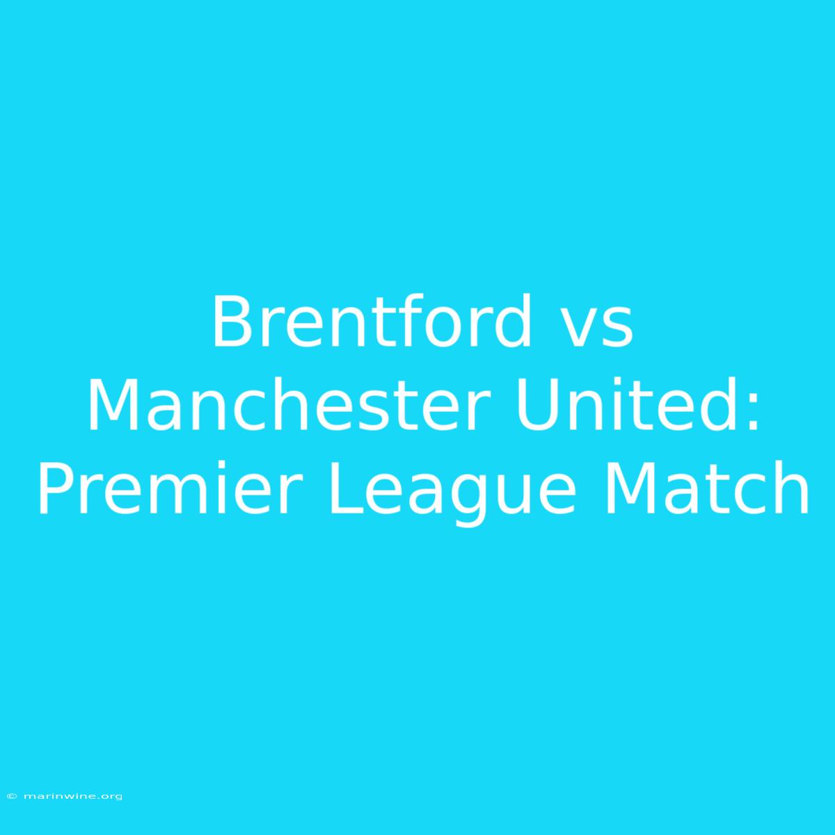 Brentford Vs Manchester United: Premier League Match 