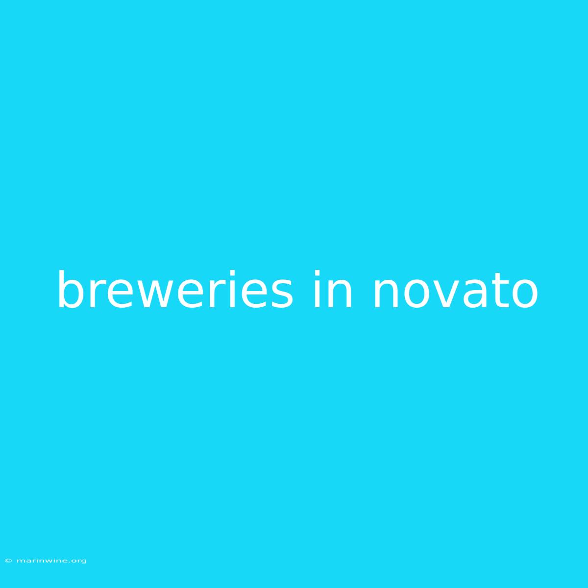 Breweries In Novato