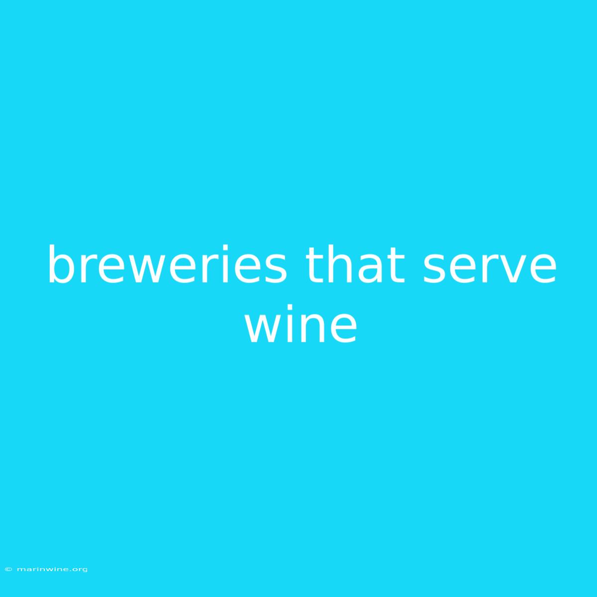 Breweries That Serve Wine