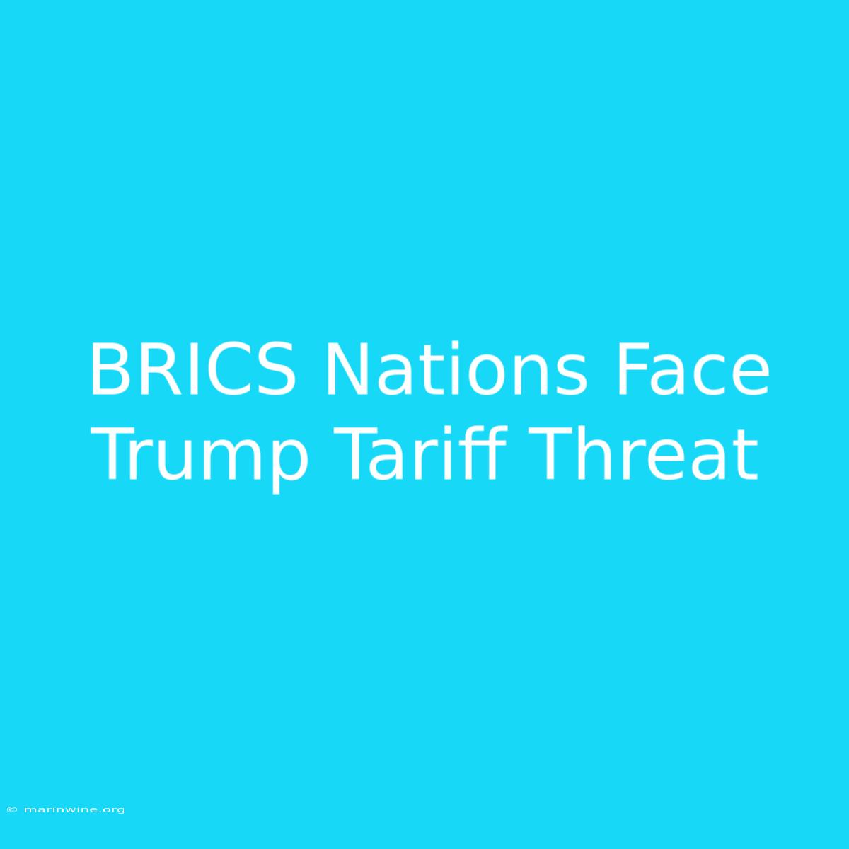 BRICS Nations Face Trump Tariff Threat