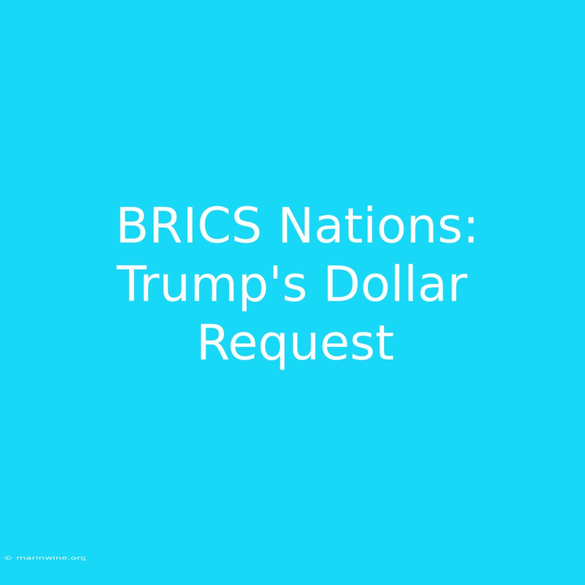 BRICS Nations: Trump's Dollar Request