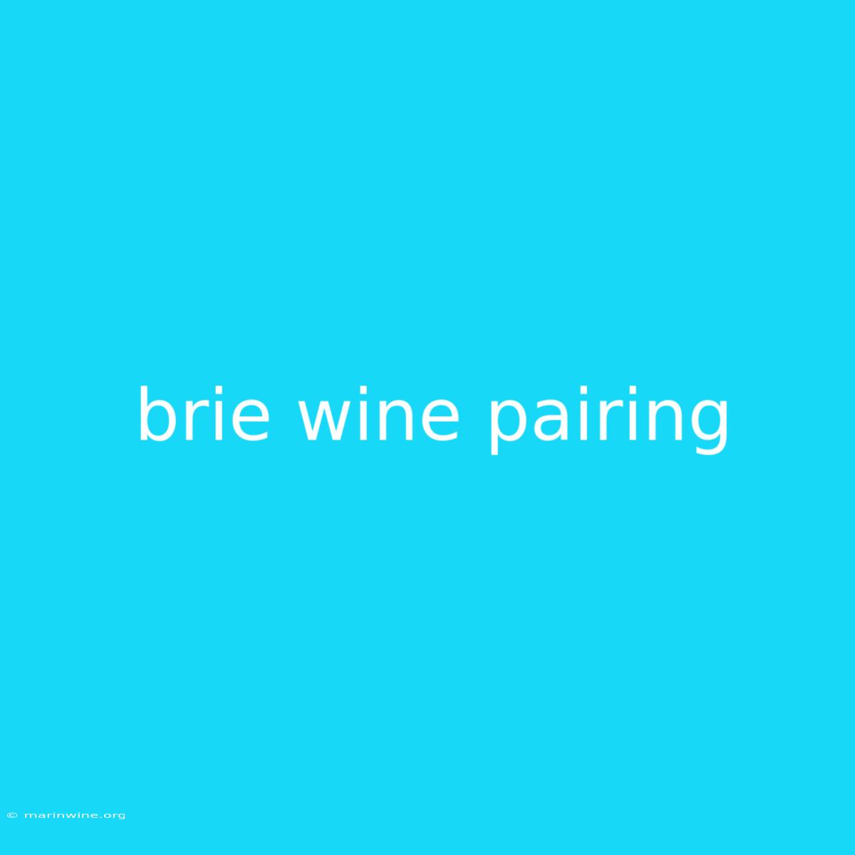 Brie Wine Pairing