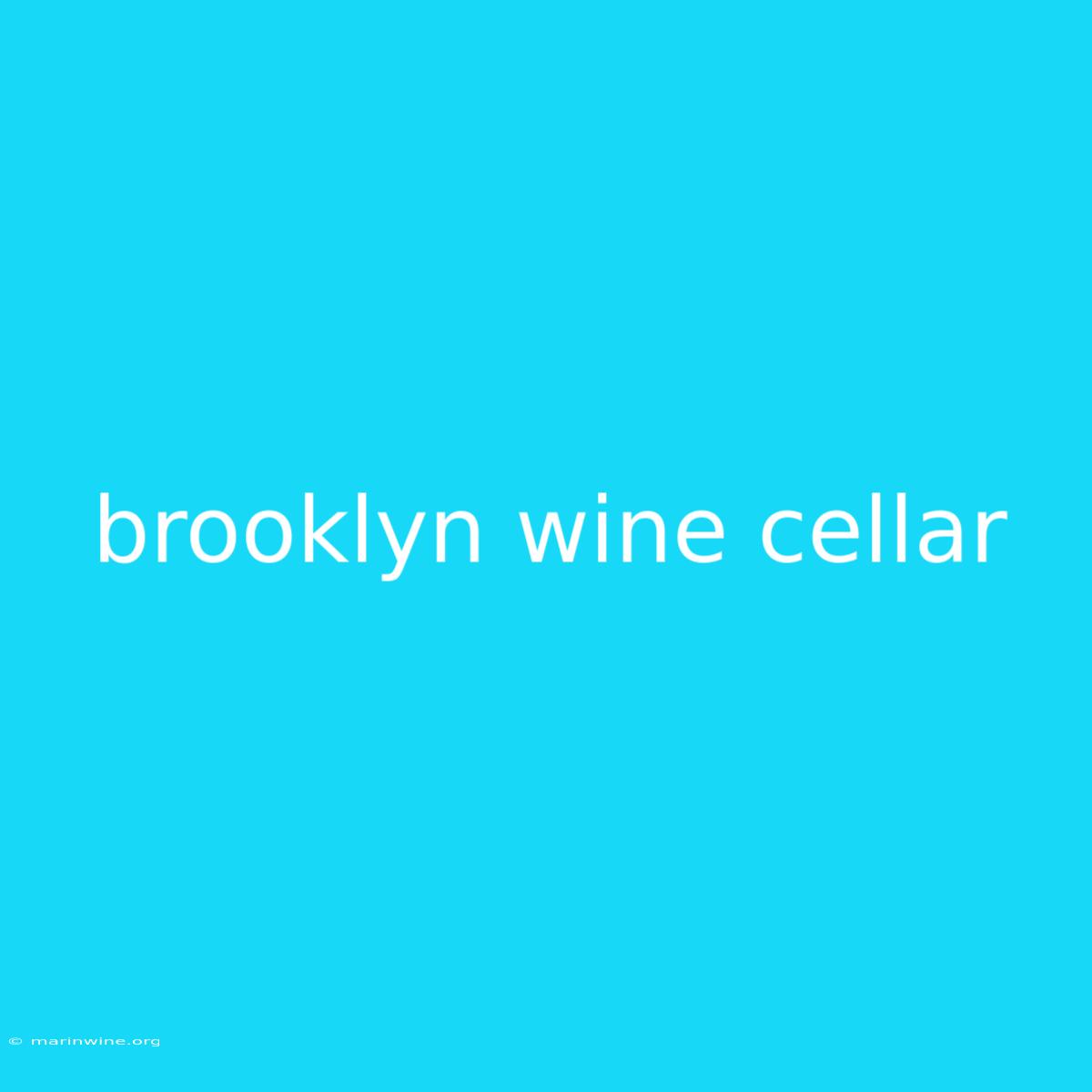 Brooklyn Wine Cellar