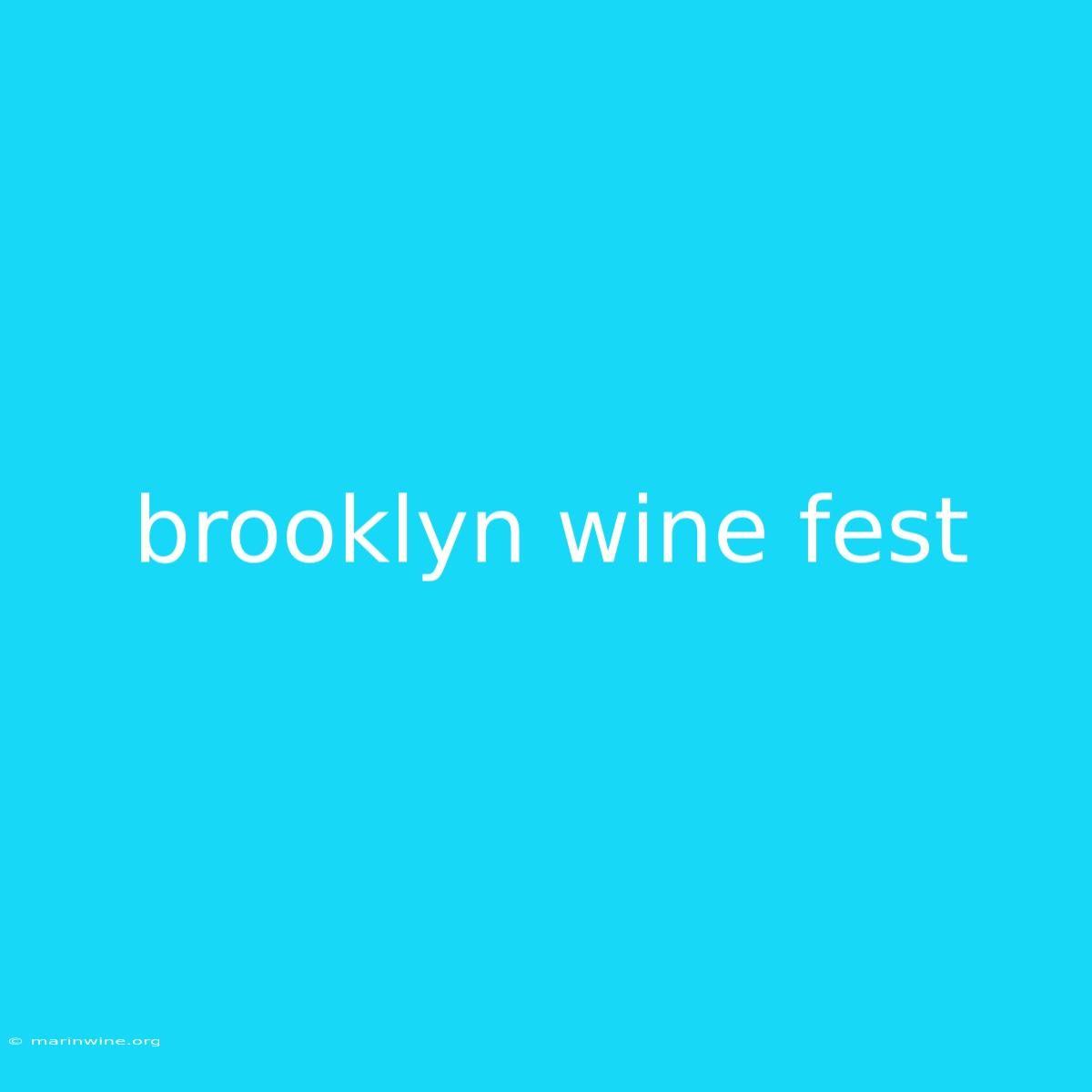 Brooklyn Wine Fest