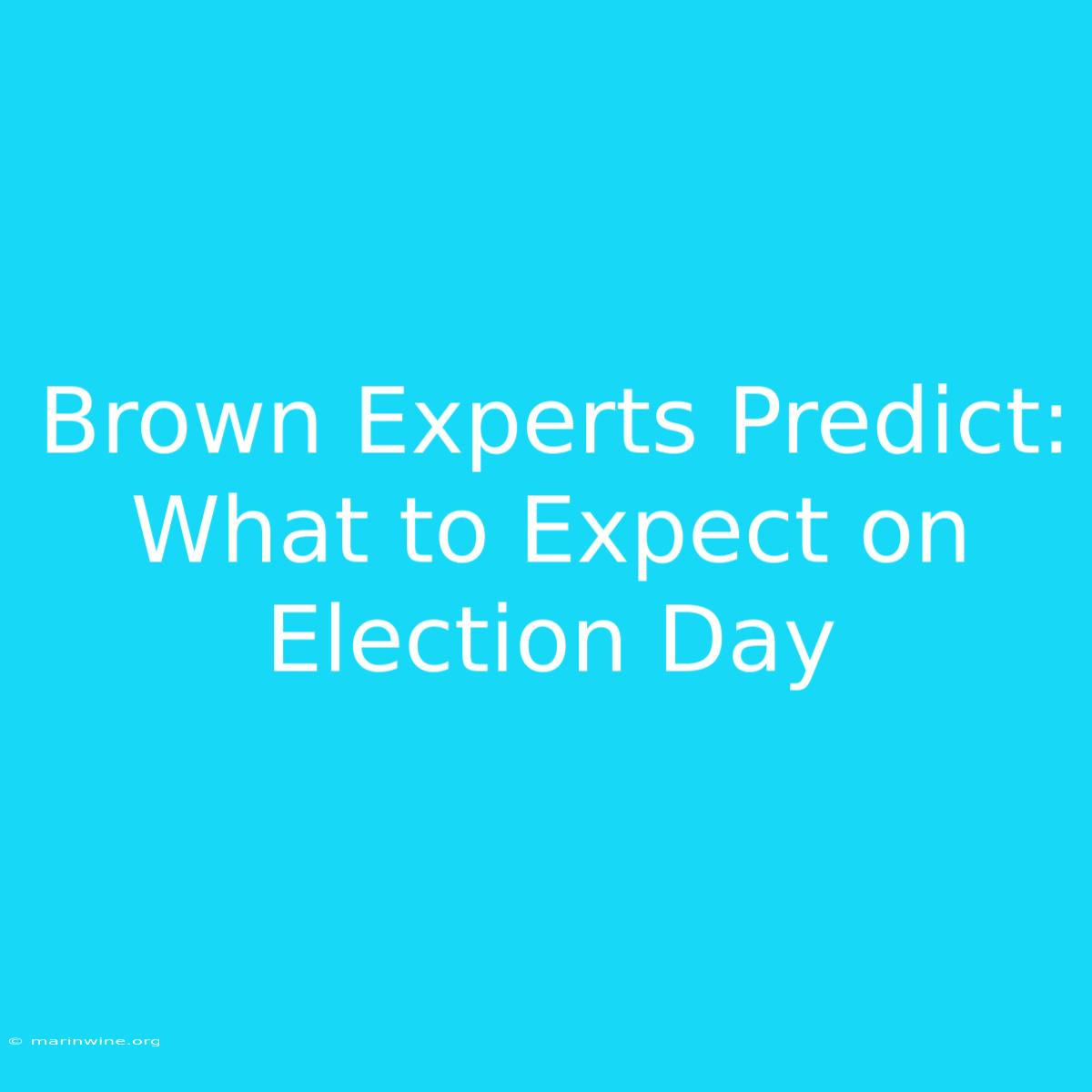 Brown Experts Predict: What To Expect On Election Day