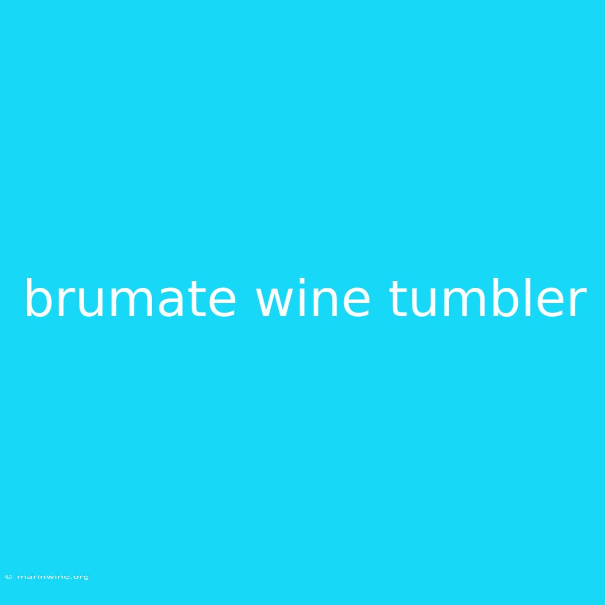 Brumate Wine Tumbler