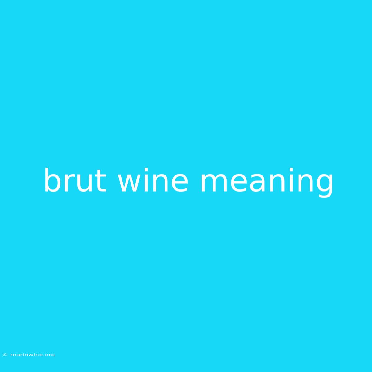 Brut Wine Meaning