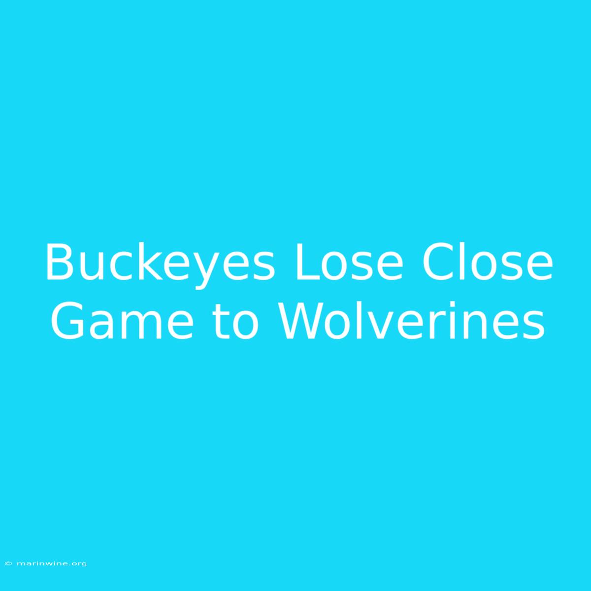 Buckeyes Lose Close Game To Wolverines