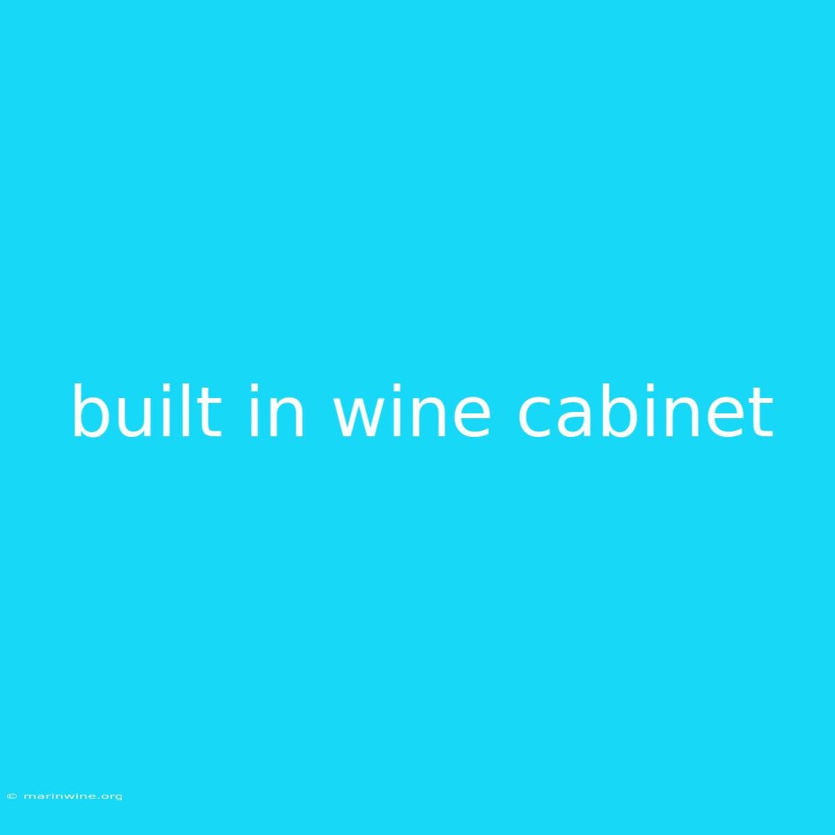 Built In Wine Cabinet