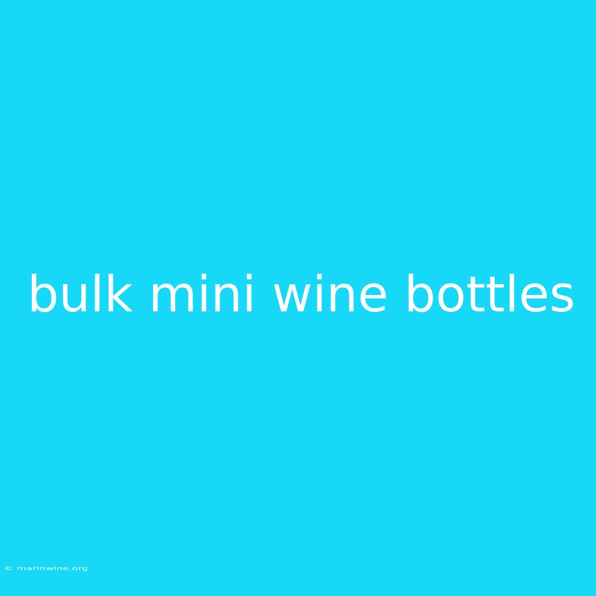 Bulk Mini Wine Bottles