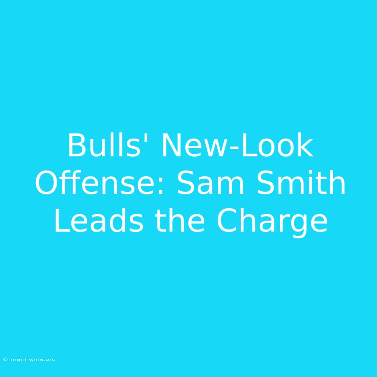 Bulls' New-Look Offense: Sam Smith Leads The Charge 