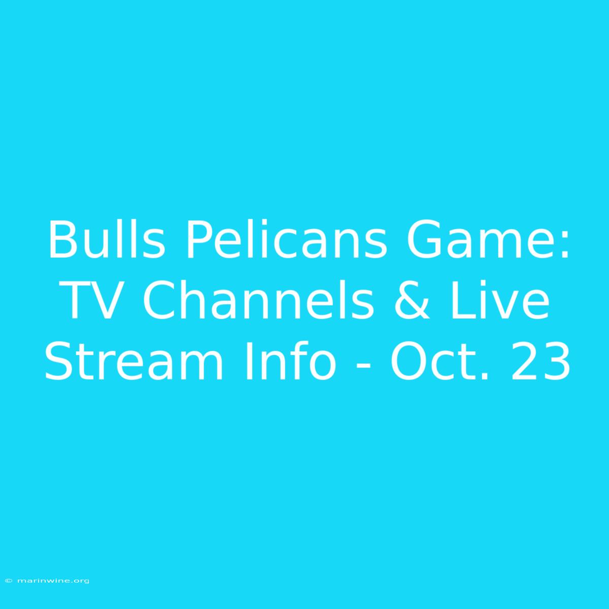 Bulls Pelicans Game: TV Channels & Live Stream Info - Oct. 23