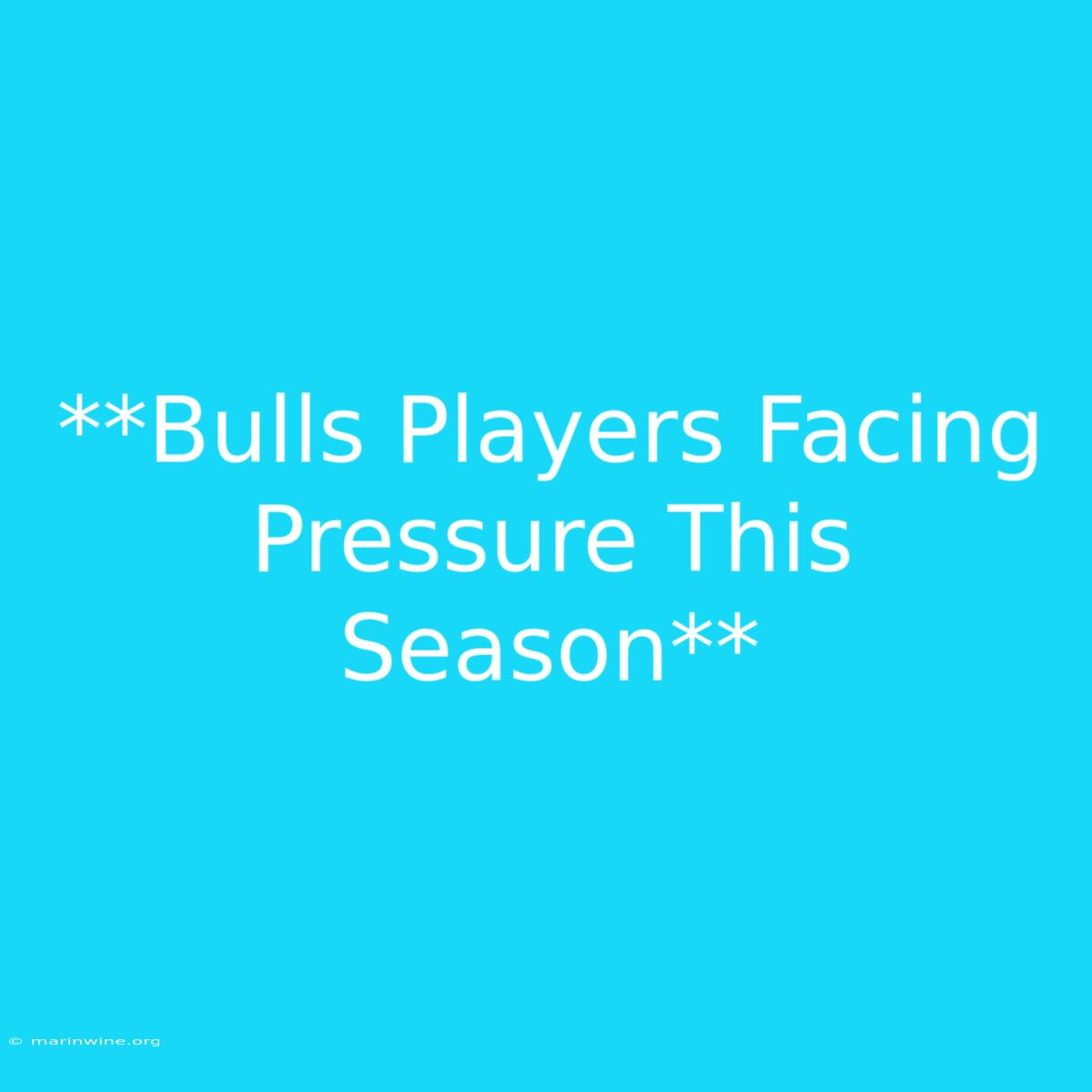 **Bulls Players Facing Pressure This Season**