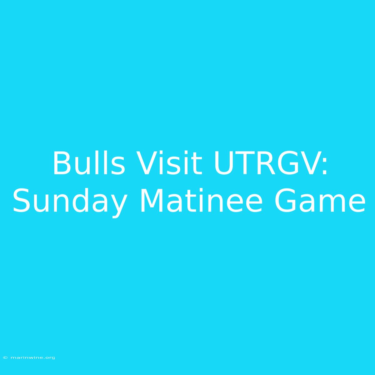 Bulls Visit UTRGV: Sunday Matinee Game