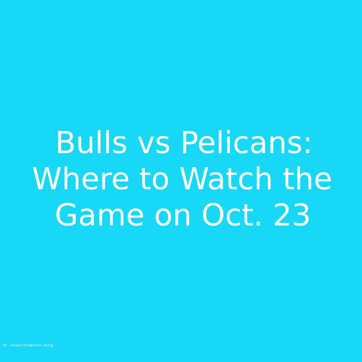 Bulls Vs Pelicans: Where To Watch The Game On Oct. 23 