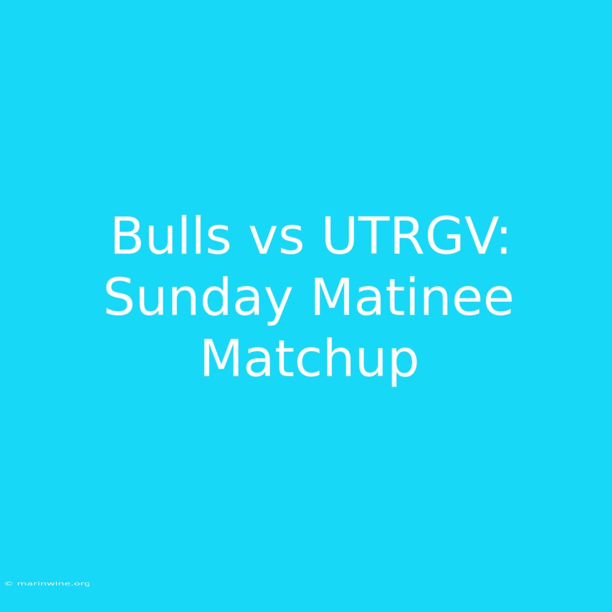 Bulls Vs UTRGV: Sunday Matinee Matchup