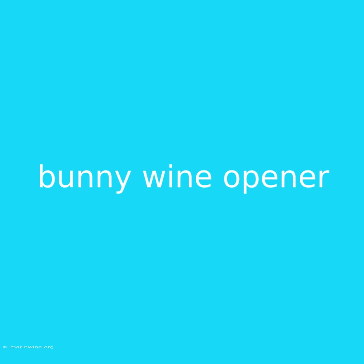 Bunny Wine Opener