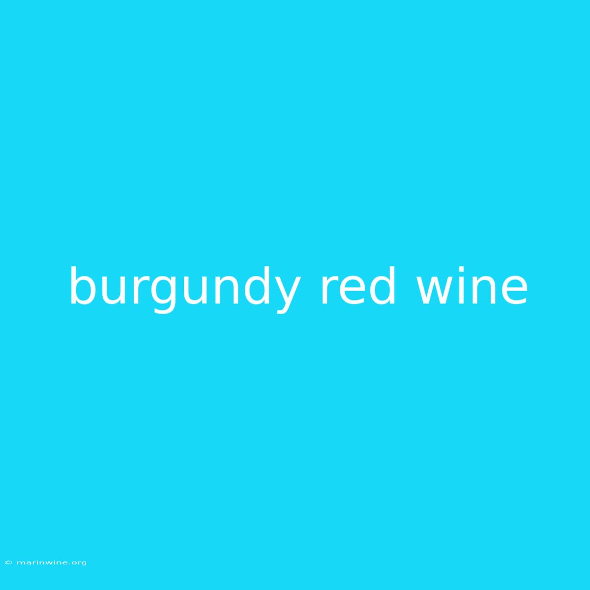 Burgundy Red Wine