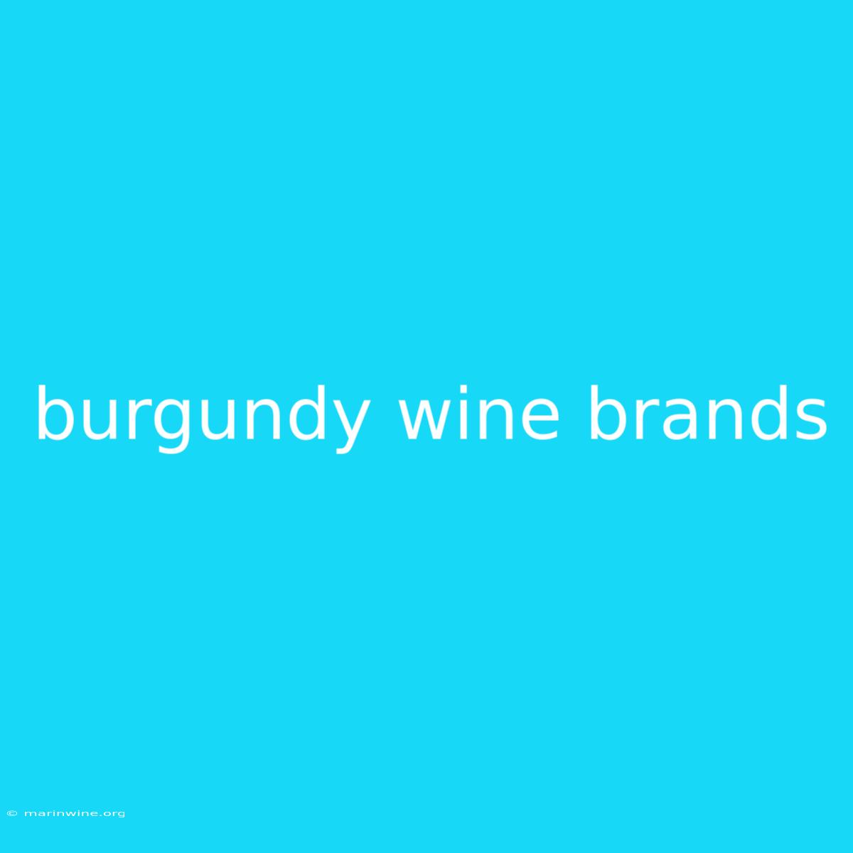 Burgundy Wine Brands