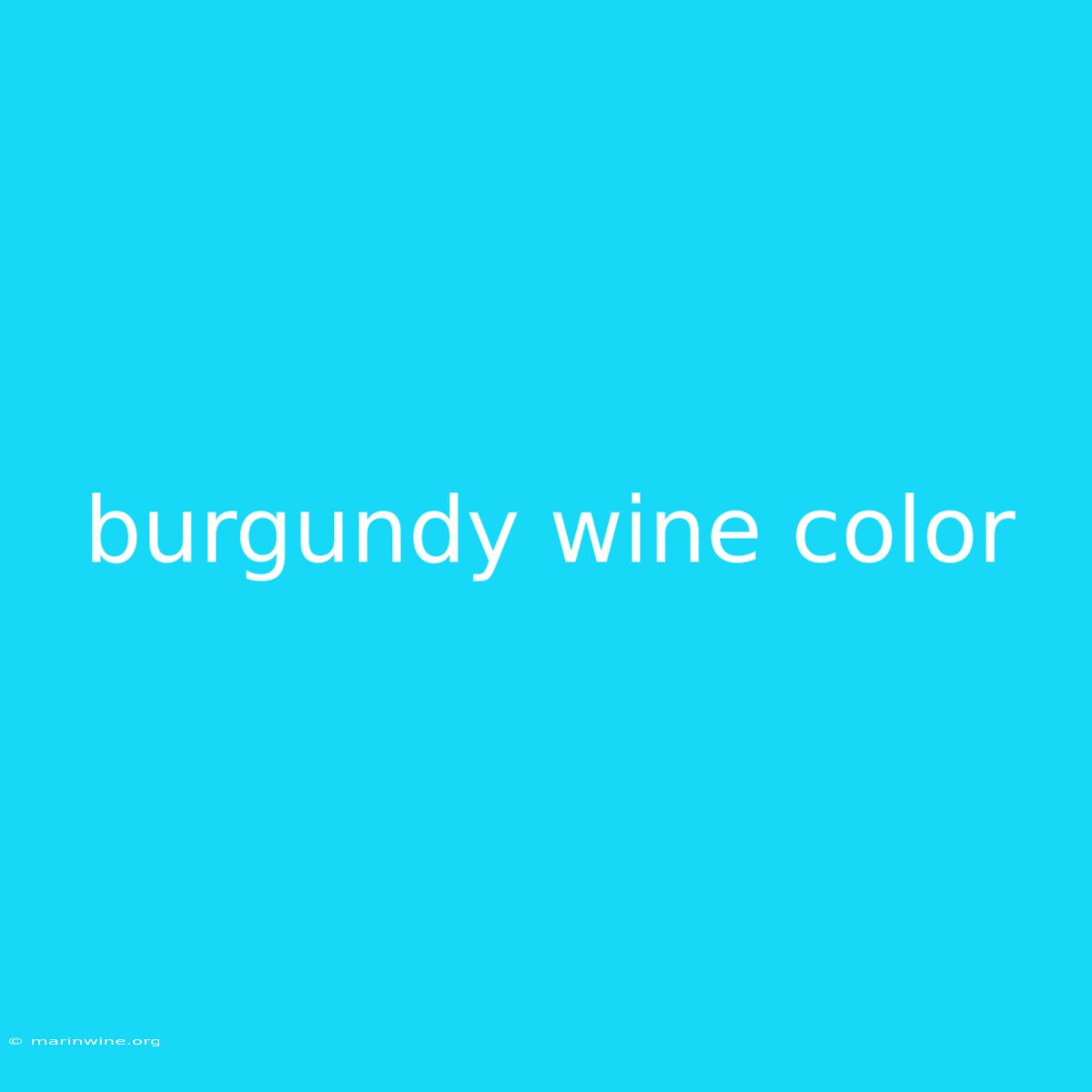 Burgundy Wine Color