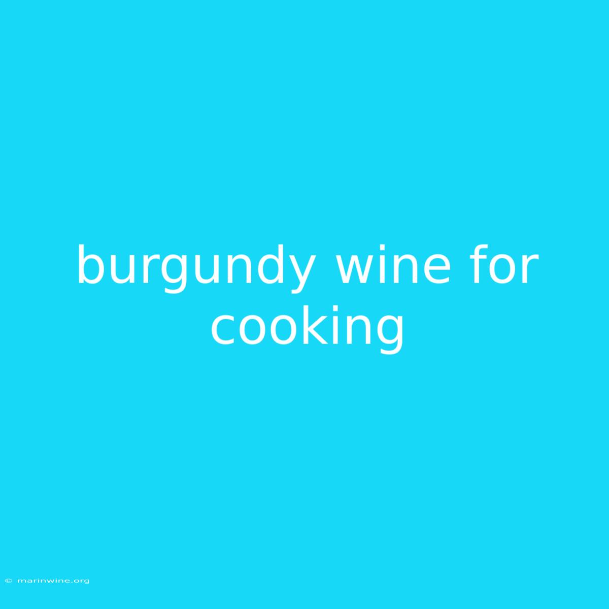 Burgundy Wine For Cooking