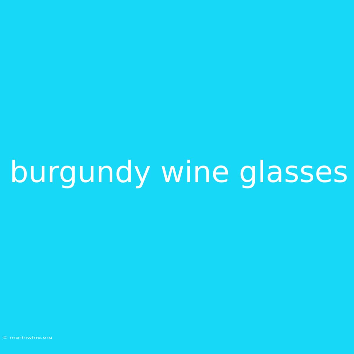 Burgundy Wine Glasses