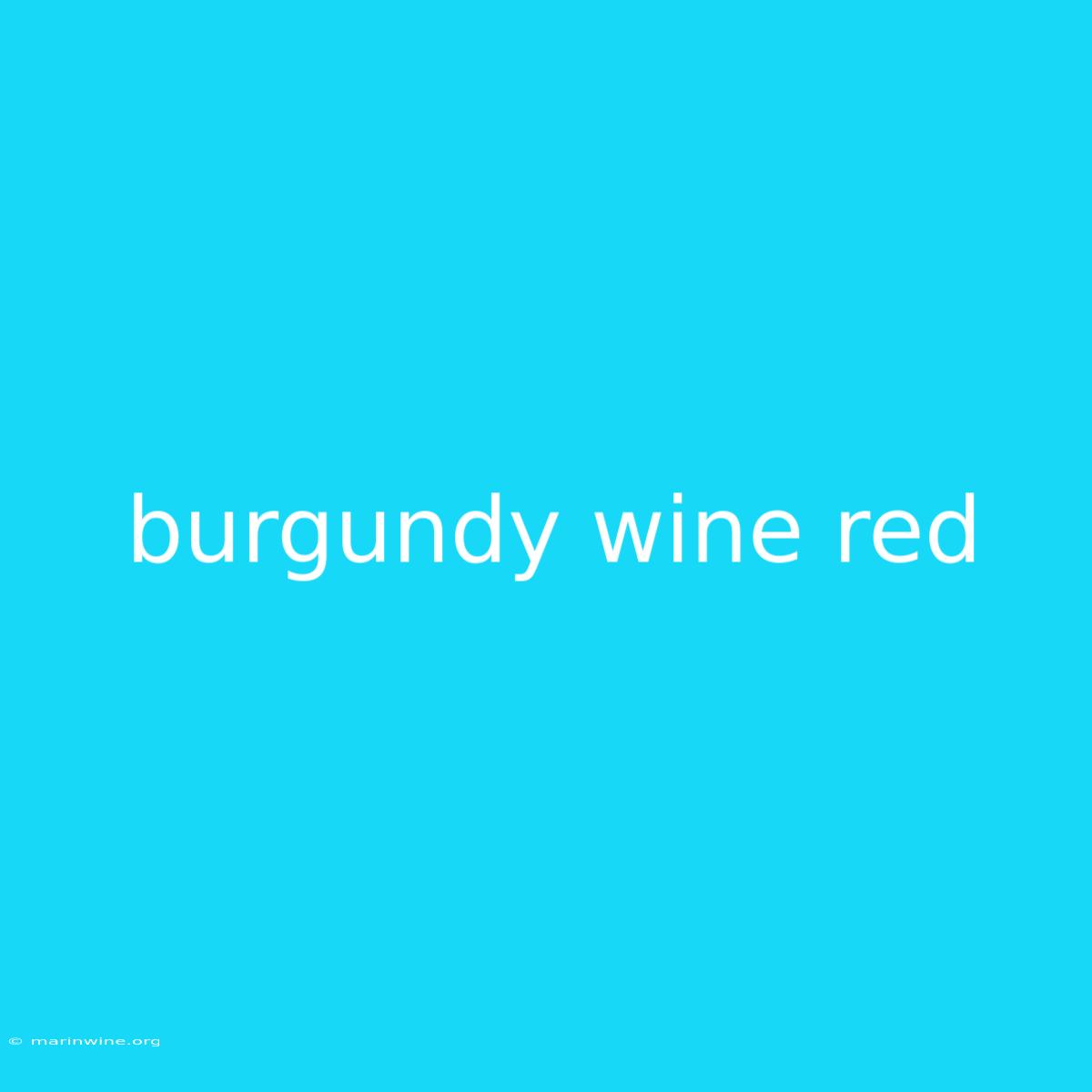 Burgundy Wine Red