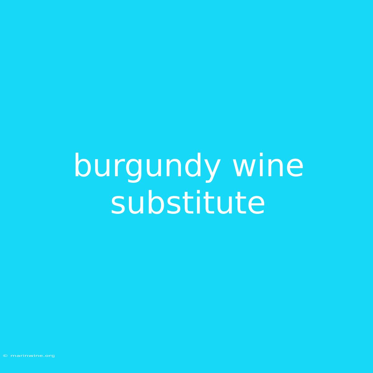 Burgundy Wine Substitute