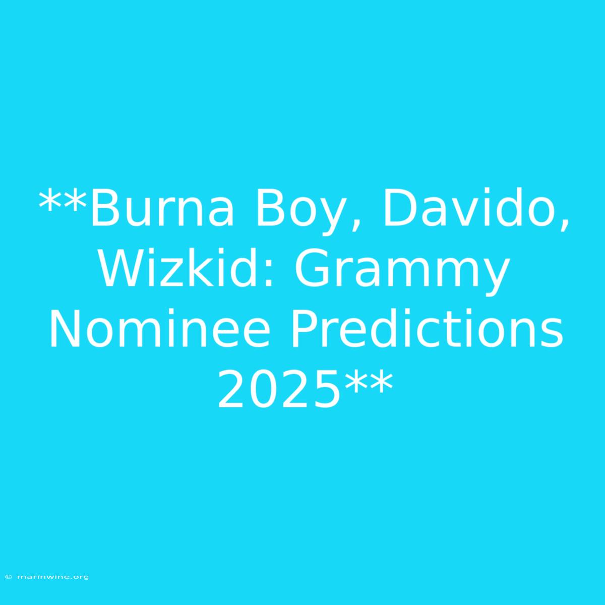 **Burna Boy, Davido, Wizkid: Grammy Nominee Predictions 2025**