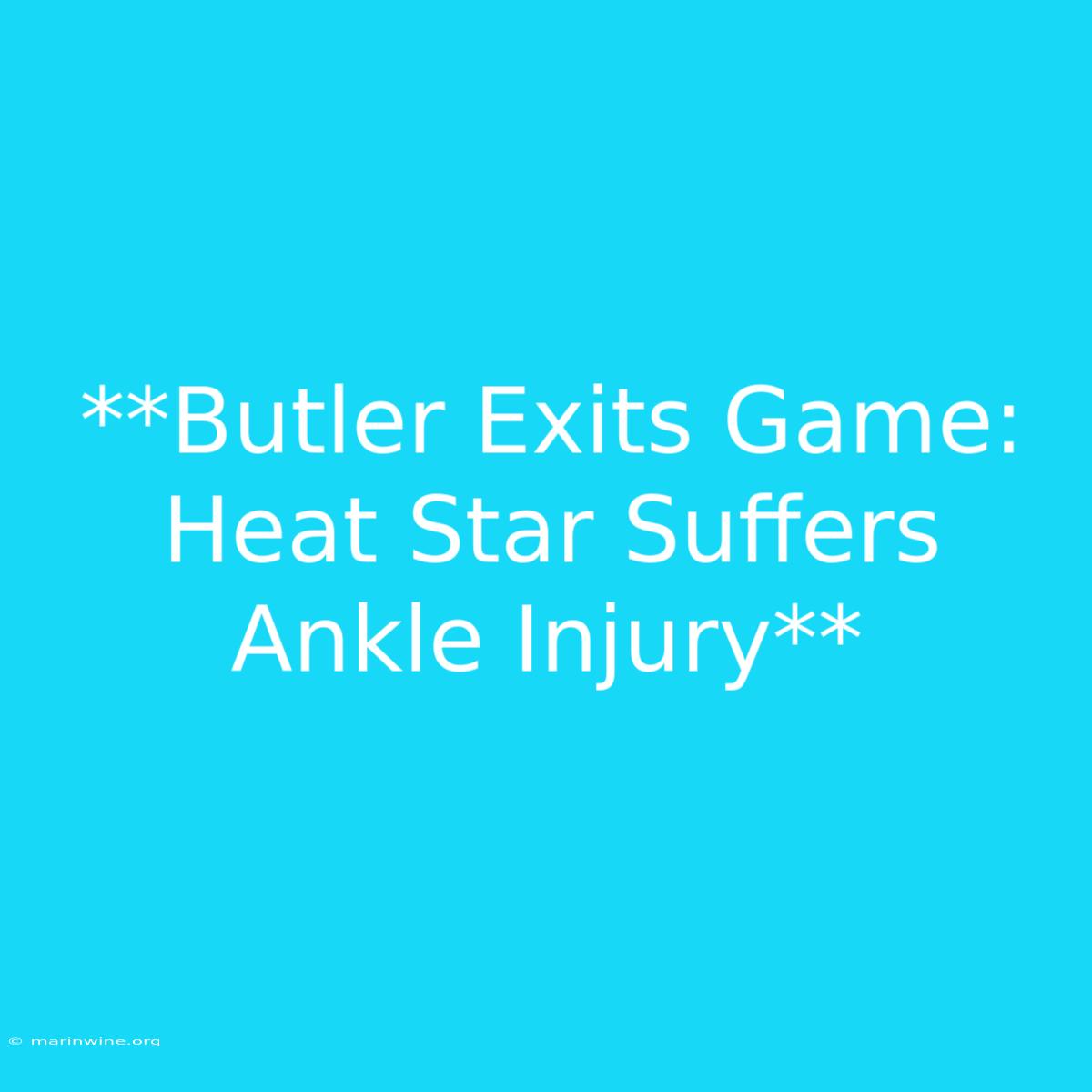 **Butler Exits Game: Heat Star Suffers Ankle Injury**