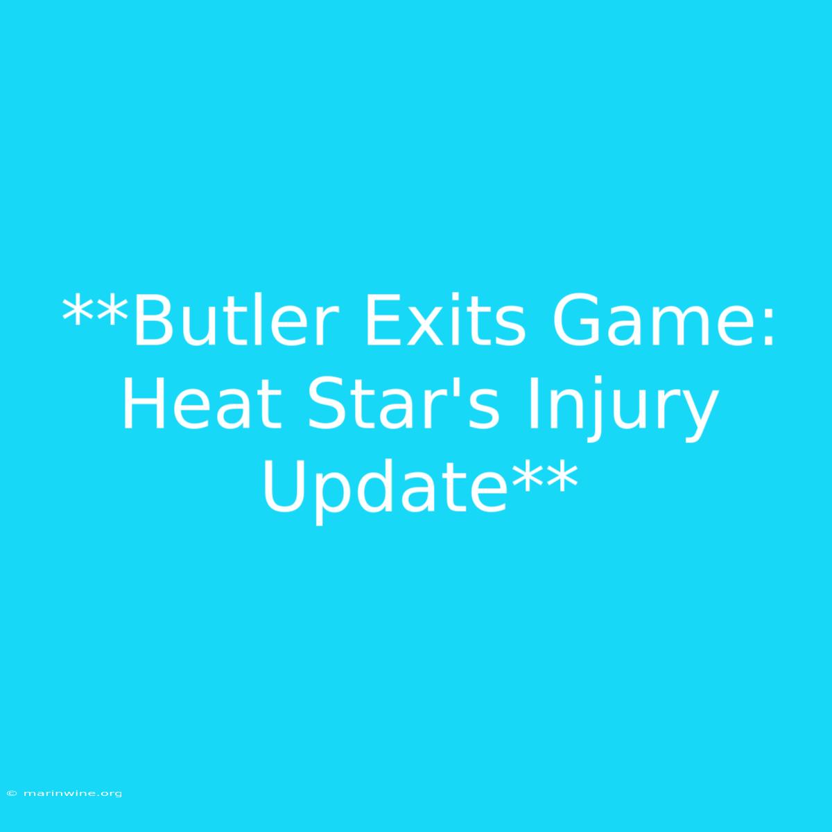 **Butler Exits Game: Heat Star's Injury Update**