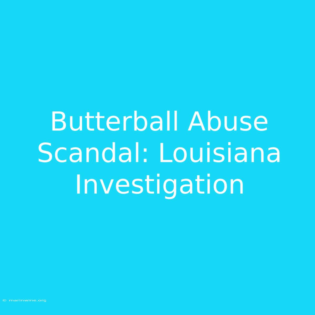 Butterball Abuse Scandal: Louisiana Investigation