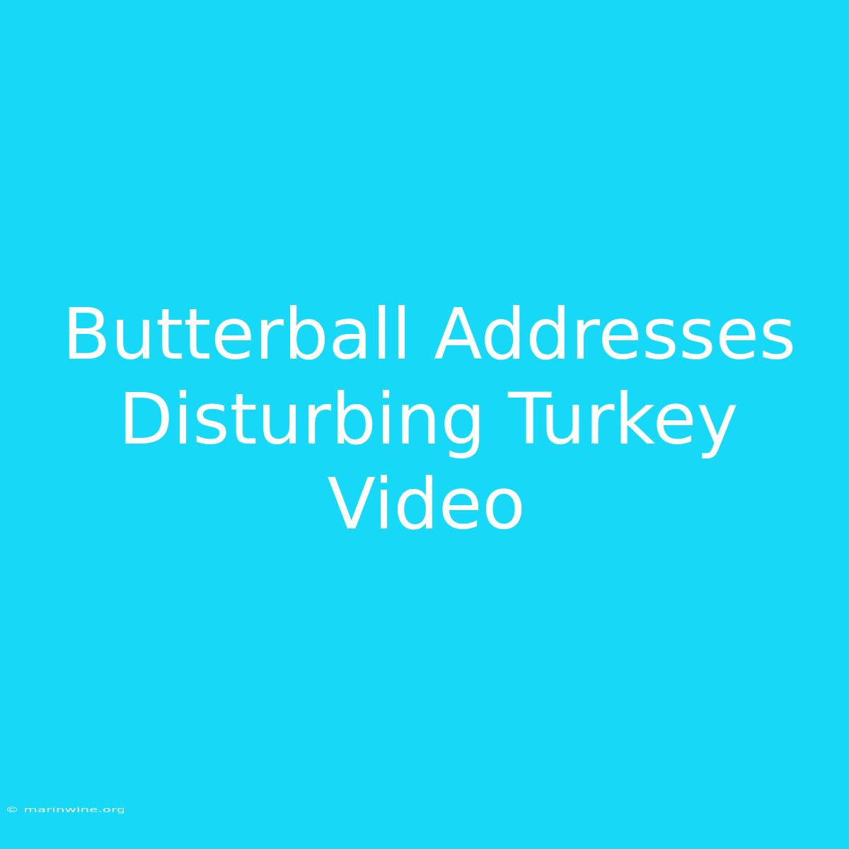 Butterball Addresses Disturbing Turkey Video