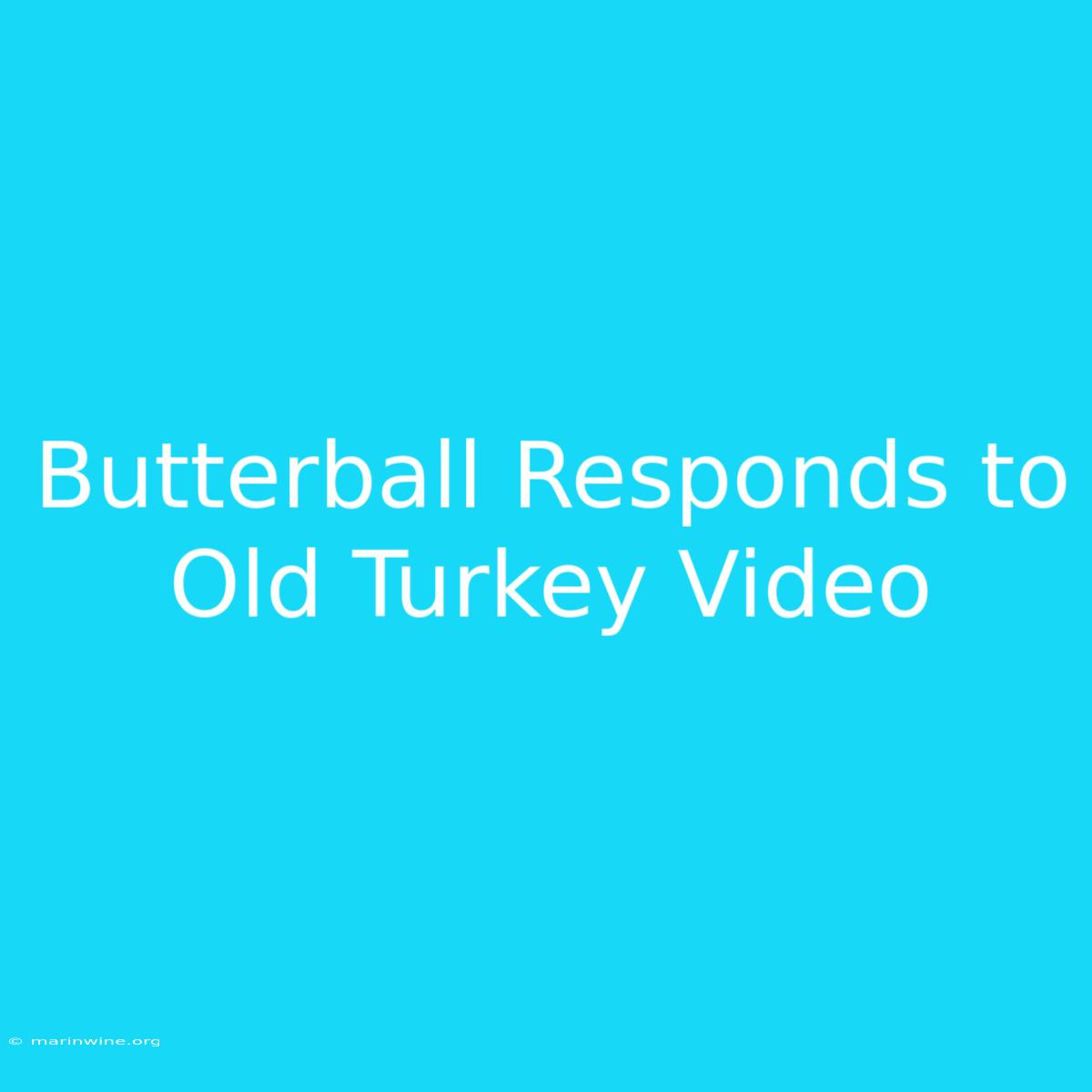 Butterball Responds To Old Turkey Video