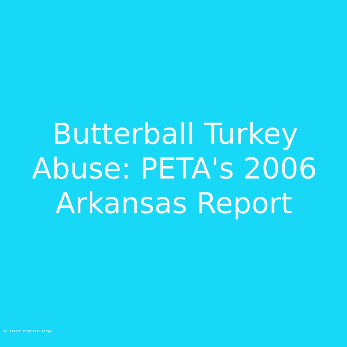 Butterball Turkey Abuse: PETA's 2006 Arkansas Report