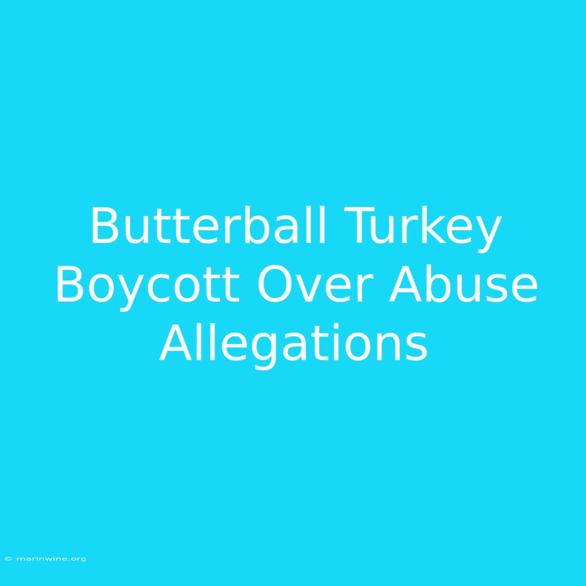 Butterball Turkey Boycott Over Abuse Allegations