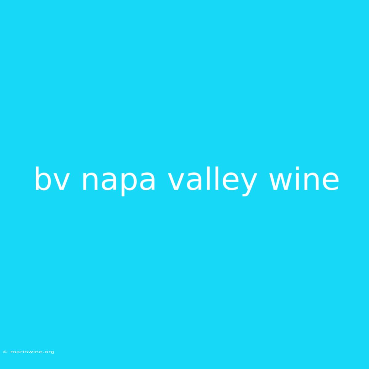 Bv Napa Valley Wine