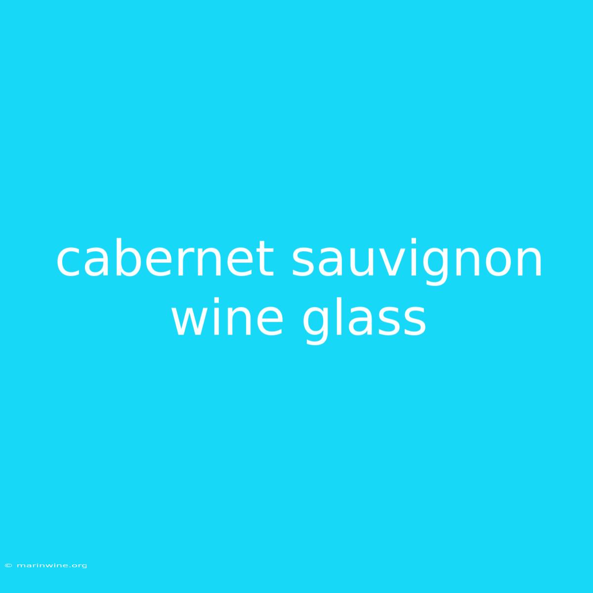 Cabernet Sauvignon Wine Glass