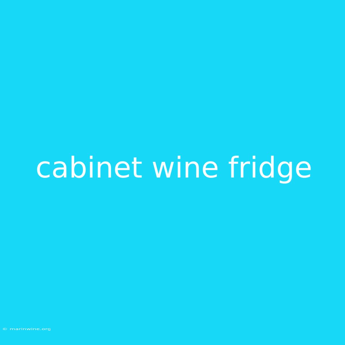 Cabinet Wine Fridge