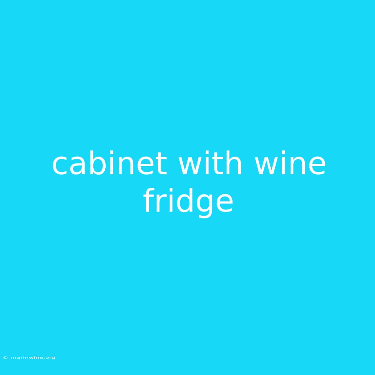 Cabinet With Wine Fridge