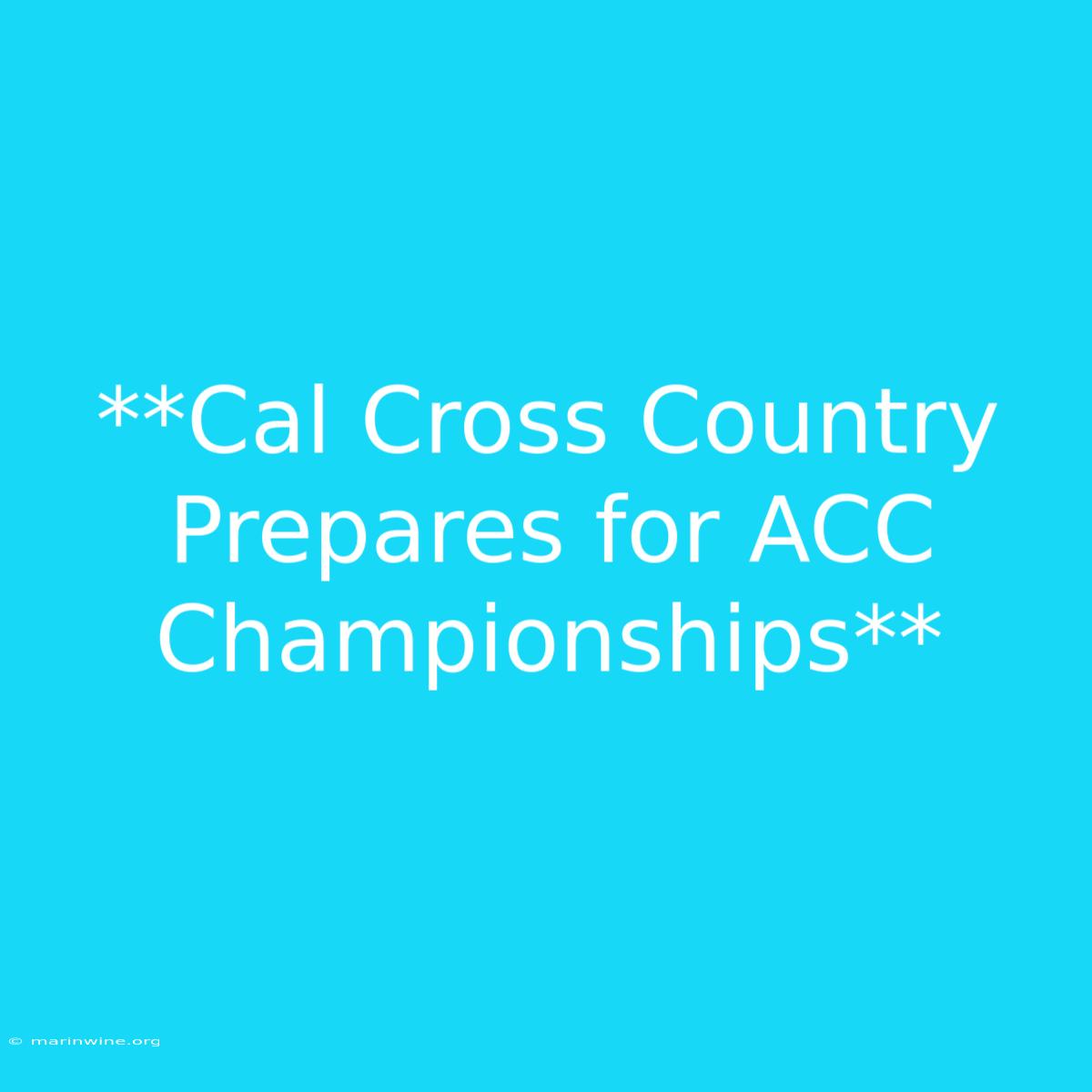 **Cal Cross Country Prepares For ACC Championships**