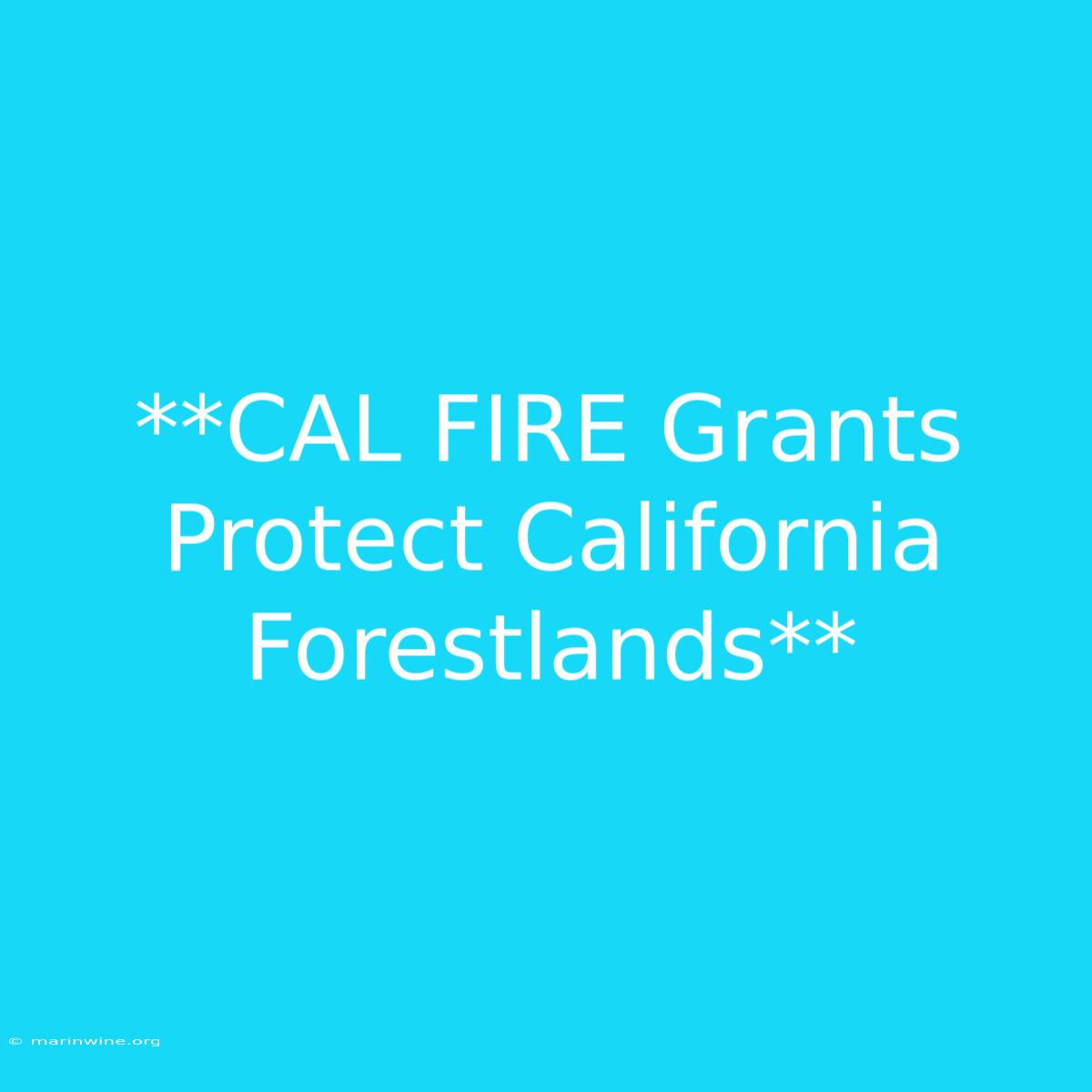 **CAL FIRE Grants Protect California Forestlands** 