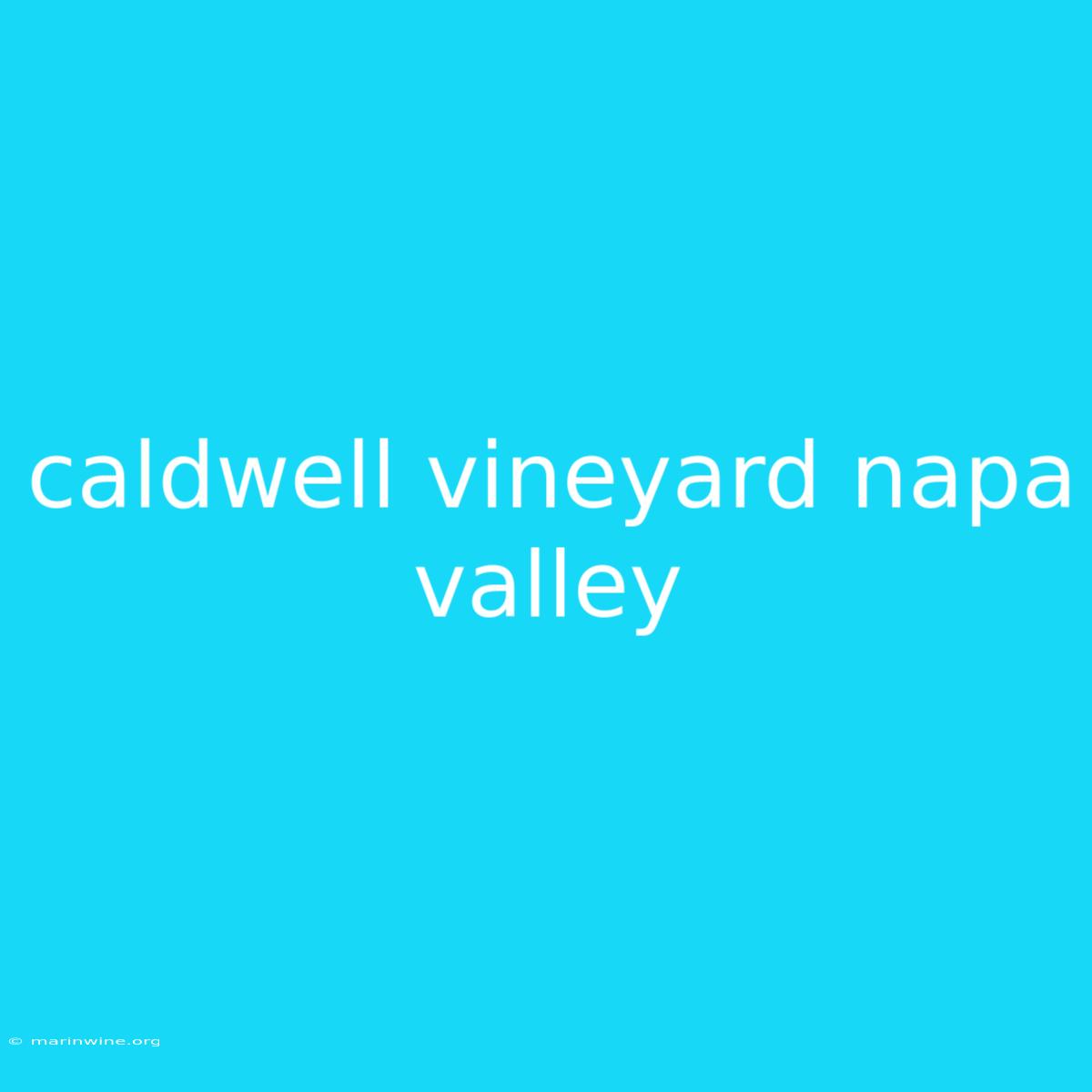 Caldwell Vineyard Napa Valley