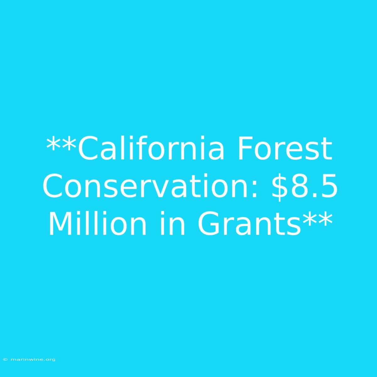 **California Forest Conservation: $8.5 Million In Grants** 