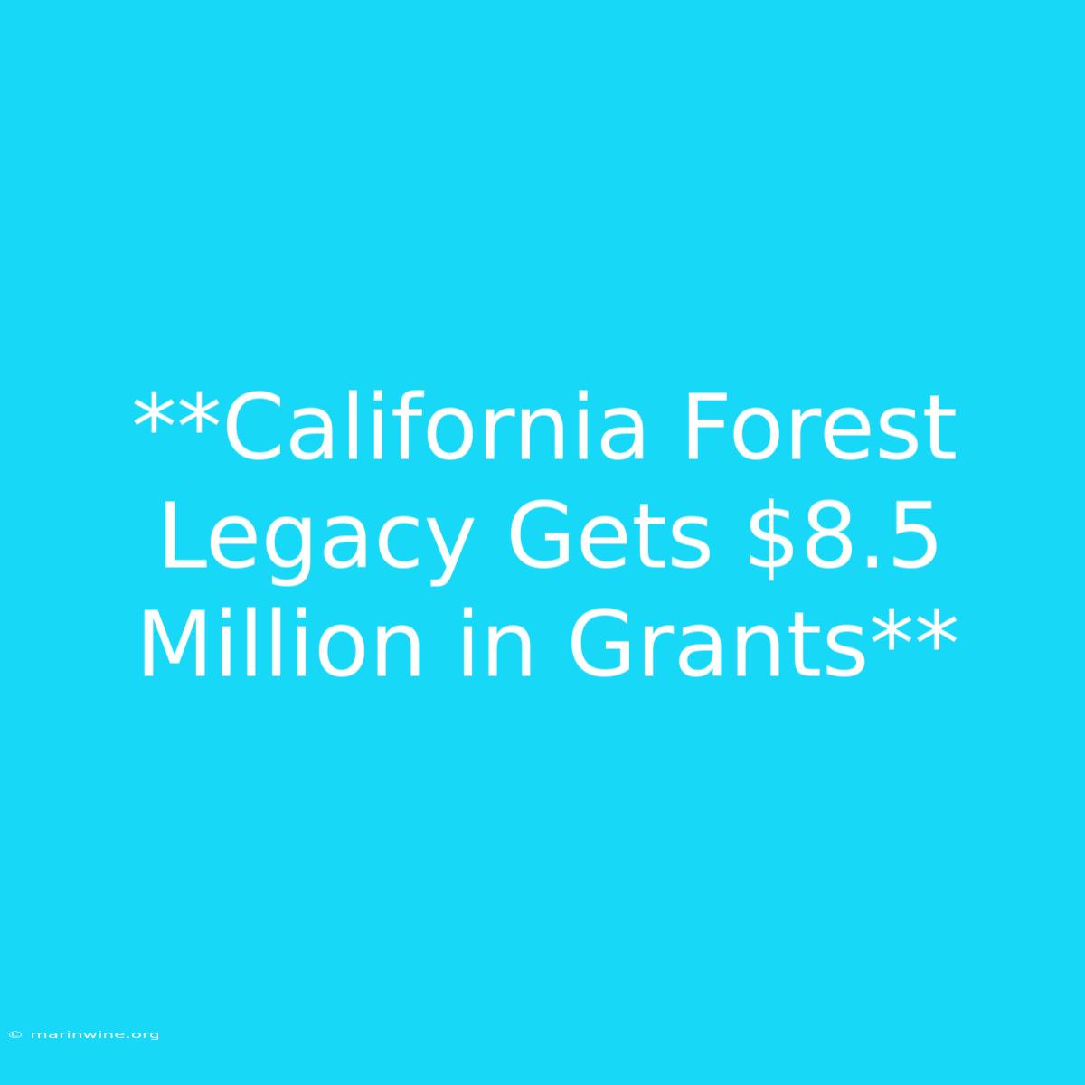 **California Forest Legacy Gets $8.5 Million In Grants**