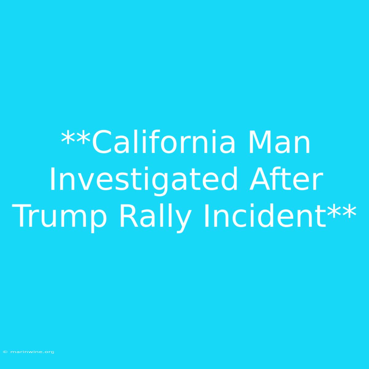 **California Man Investigated After Trump Rally Incident** 