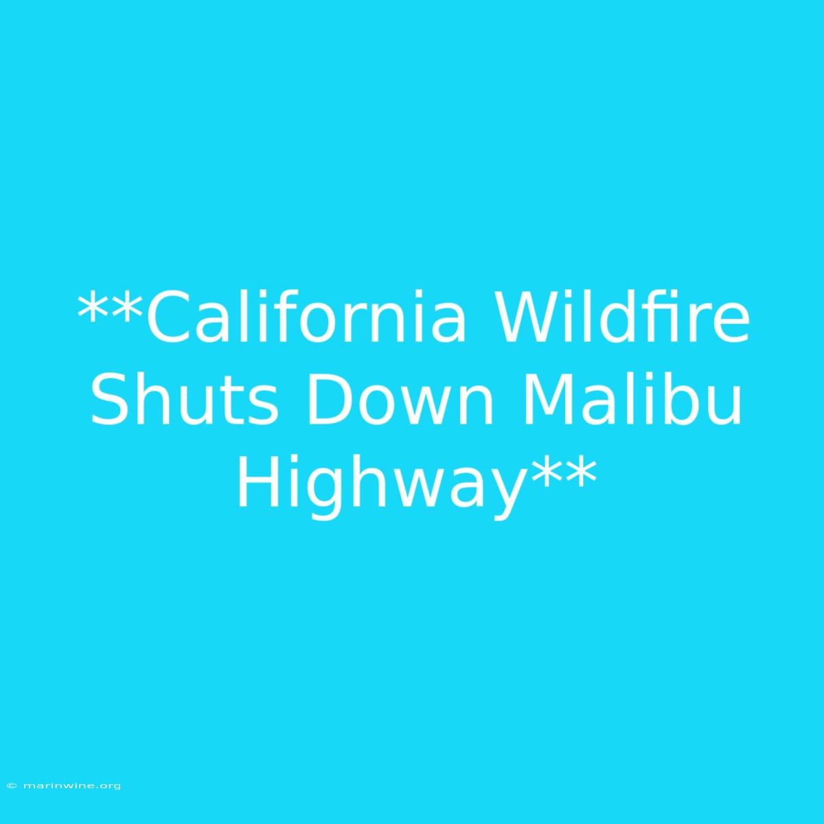 **California Wildfire Shuts Down Malibu Highway**